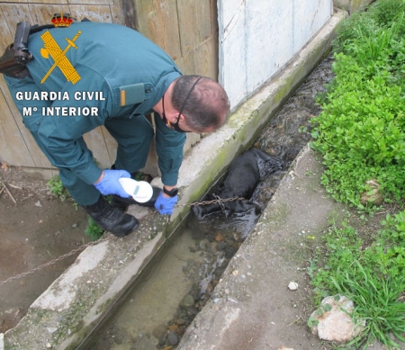 Un Guardia CIvil saca al perro de la acequia (GUARDIA CIVIL)