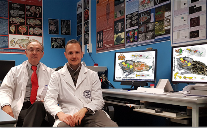 Los investigadores de la UGR Javier Alba-Tercedor e Ignacio Alba-Alejandre posan en el laboratorio (UGR