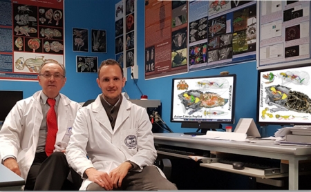 Los investigadores de la UGR Javier Alba-Tercedor e Ignacio Alba-Alejandre posan en el laboratorio (UGR