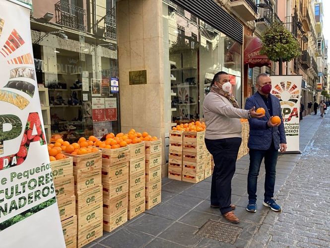 Agricultores reparten cajas de naranjas entre 200 comercios de Granada para denunciar los bajos precios en origen (UPA) 