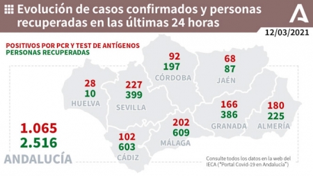 Evolución diaria de la pandemia en Andalucía (JUNTA DE ANDALUCÍA) 