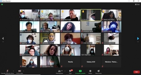 Imagen del encuentro telemático (DIPUTACIÓN) 