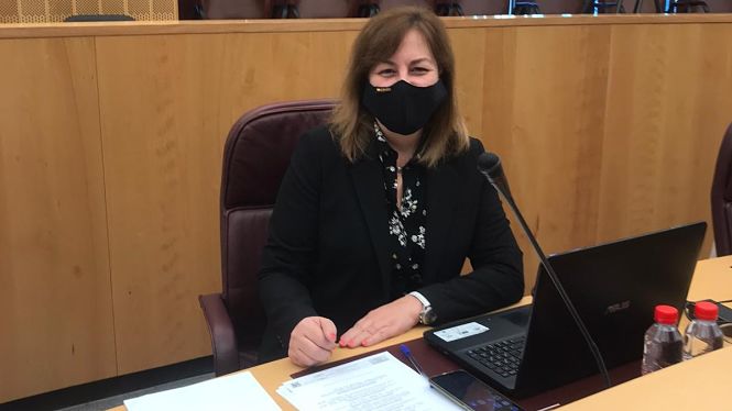 La Diputada Provincial de Vox, Cristina Jiménez (DIPUTACIÓN)