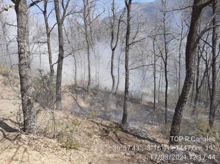 Lugar donde se ha producido el incendio (INFOCA)