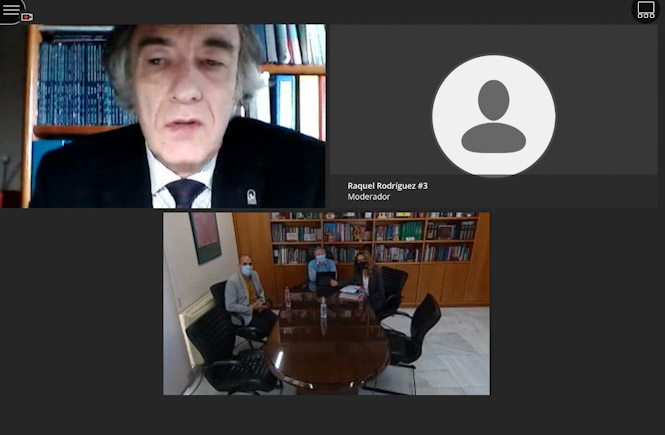 Imagen de la sesión telemática (JUNTA) 