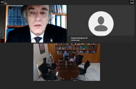 Imagen de la sesión telemática (JUNTA) 