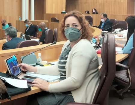 La Diputada Provincial de IU, Mari Carmen Pérez (IU)