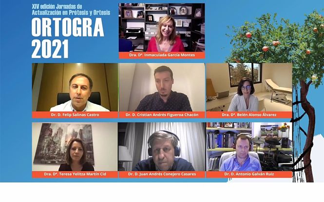 Sesión telemática (JUNTA DE ANDALUCÍA) 