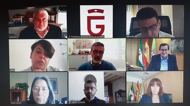 Imagen de la reunión telemática (R. MARTÍNEZ / DIPGRA)