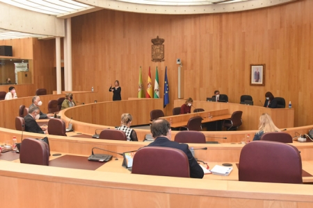 Pleno extraordinario de Diputación (L. PEÑALVER / DIPGRA)