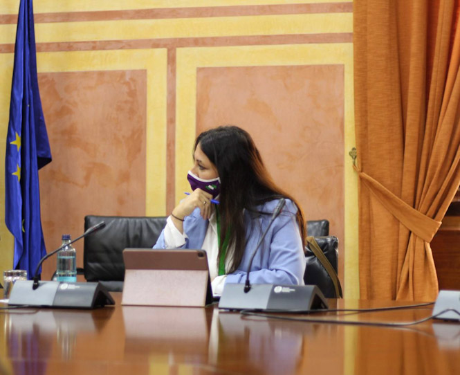 La Diputada Provincial de Podemos, Alejandra Durán (PODEMOS)