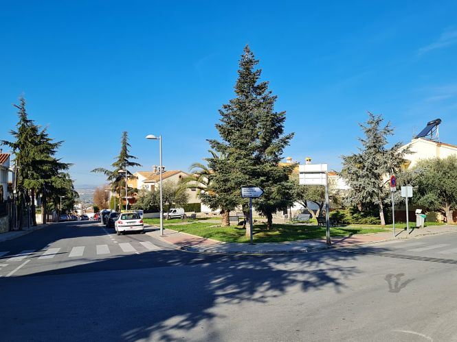 Zona de arbolado en Huétor Vega (IU HUÉTOR VEGA)