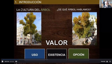 DIPUTACIÓN DE GRANADA