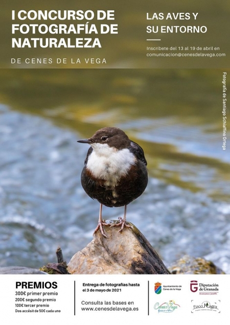 AYUNTAMIENTO CENES DE LA VEGA AYUNTAMIENTO CENES DE LA VEGA