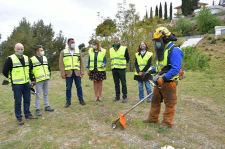 Imagen del tratamiento selvícola (JUNTA)
