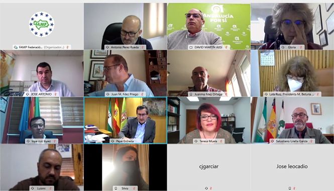 Imagen de la reunión telemática (DIPUTACIÓN)