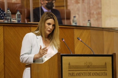 La parlamentaria andaluza de Cs, Concha Insua (CIUDADANOS) La parlamentaria andaluza de Cs, Concha Insua (CIUDADANOS)