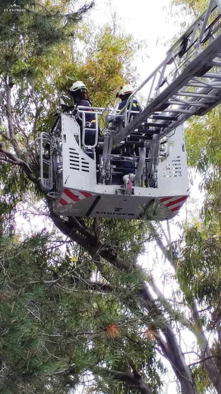 Imagen del rescate (AYTO. ALMUÑÉCAR)