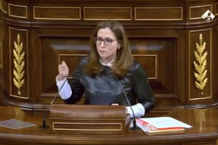 Inmaculada Oria en el Congreso de los Diputados )PSOE)