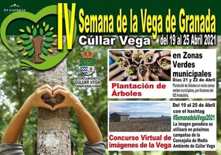 AYUNTAMIENTO CÚLLAR VEGA