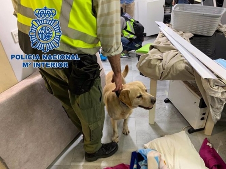 Un agente durante la operación Odolki en la zona Norte de Granada (POLICÍA NACIONAL)