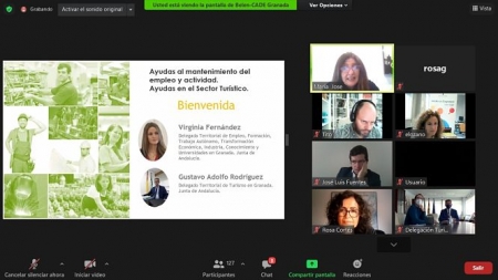 Imagen de la reunión telemática (JUNTA)