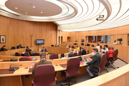 Pleno del mes de Abril de Diputación (JM GIL / DIPGRA)