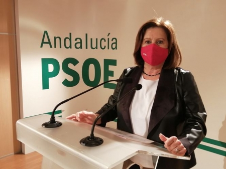 La parlamentaria andaluza del PSOE, maría José Sánchez Rubio (PSOE)