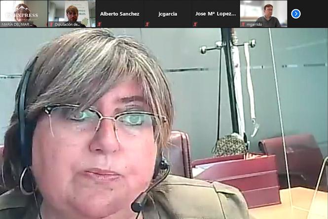 La diputada de Empleo y Desarrollo Sostenible, Ana Muñoz (DIPUTACIÓN)