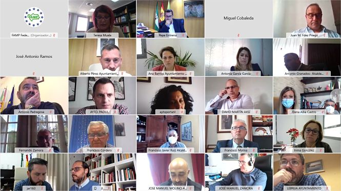 Imagen de la reunión telemática (DIPUTACIÓN) 