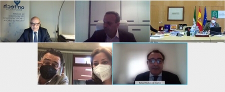 Imagen de la reunión telemática (ON GRANADA)