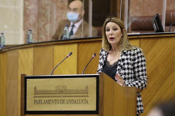 La parlamentaria andaluza de Ciudadanos, Concha Insúa (CIUDADANOS) 