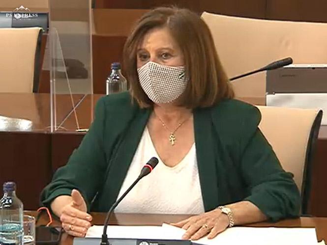 La parlamentaria Andaluza del PSOE, María José Sánchez Rubio (PSOE)