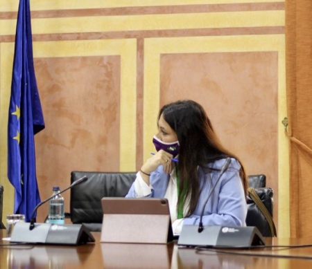 La Diputada Provincial de Podemos, Alejandra Durán (PODEMOS)