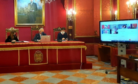 Mesa técnica de protección de menores víctimas de violencia de género (AYTO. GRANADA) 