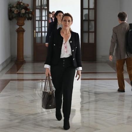 La parlamentaria andaluza de Cs, Concha Insua (CIUDADANOS)