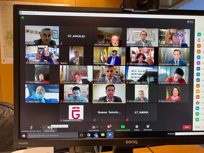 Imagen de la reunión telemática (DIPUTACIÓN) 