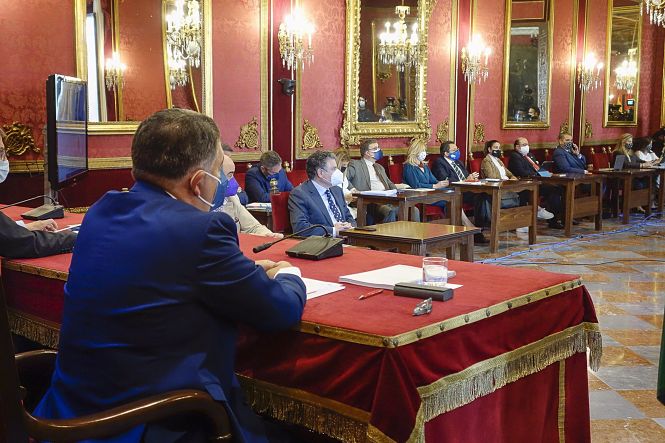 Pleno extraordinario para la presentación del informe del Defensor de la Ciudadanía en 2020 (JAVIER ALGARRA / AYUNTAMIENTO) 