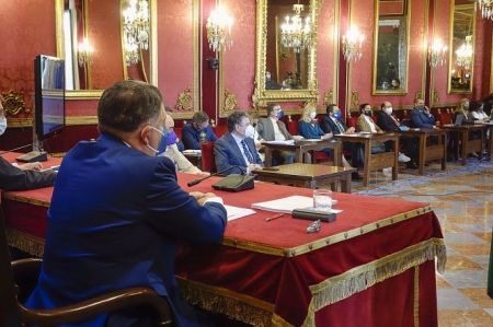 Pleno extraordinario para la presentación del informe del Defensor de la Ciudadanía en 2020 (JAVIER ALGARRA / AYUNTAMIENTO) 