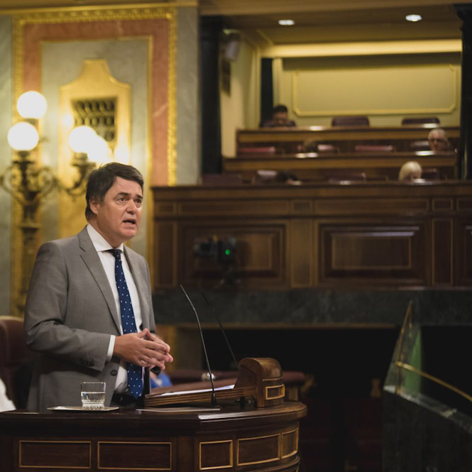 El Diputado Nacional del PP,  Carlos Rojas (PP) 