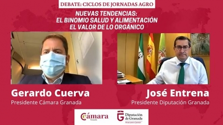 Gerardo Cuerva y José Entrena, en la inauguración del ciclo de jornadas on line (CÁMARA GRANADA)