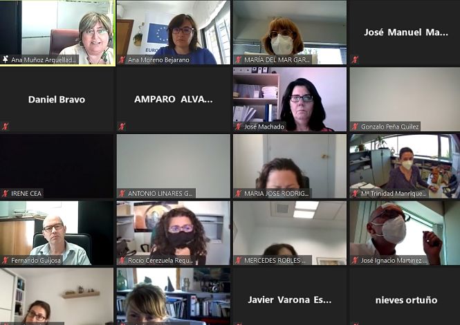 Jornadas telemáticas sobre fondos europeos (DIPUTACIÓN)