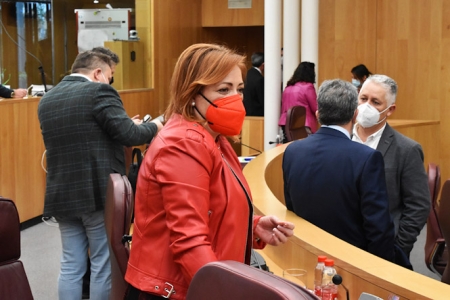 La Diputada Provincial de IU, Mari Carmen Pérez (IU)