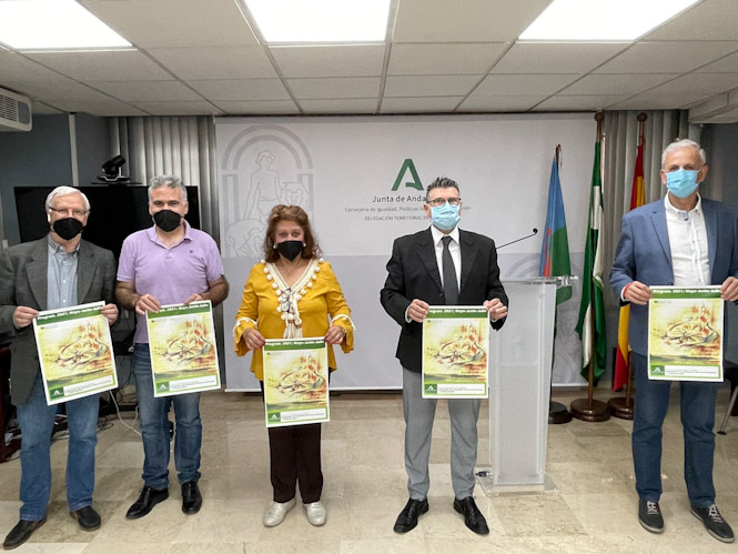 Presentación de la programación (JUNTA)