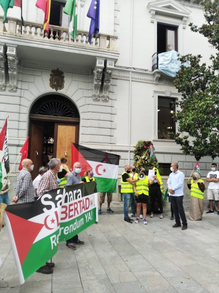 Imagen de la concentración (IU)