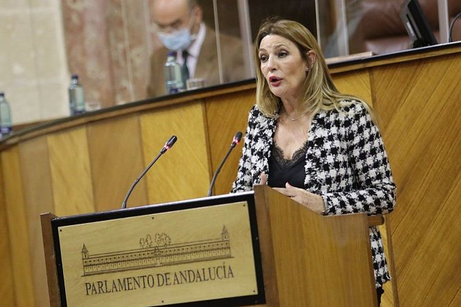 La parlamentaria andaluza de CS, Concha Insúa (CIUDADANOS) 