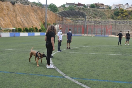 jornada formativa celebrada en Monachil (AYTO. MONACHIL) jornada formativa celebrada en Monachil (AYTO. MONACHIL)