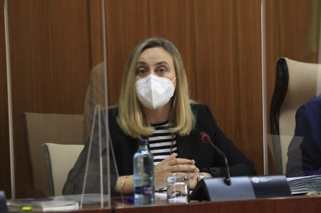 Marifran Carazo durante la comisión parlamentaria (JUNTA)