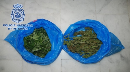 Imagen de la marihuana intervenida (POLICÍA NACIONAL)