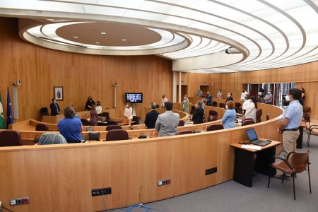 Minuto de silencio en el Pleno de Diputación (S. BÁRCENA / DIPGRA)